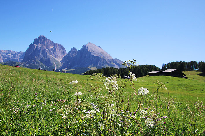seiseralm01