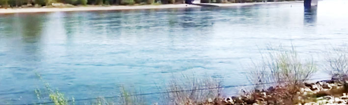 Der Rhein wird in Speyer bald über die Ufer treten.